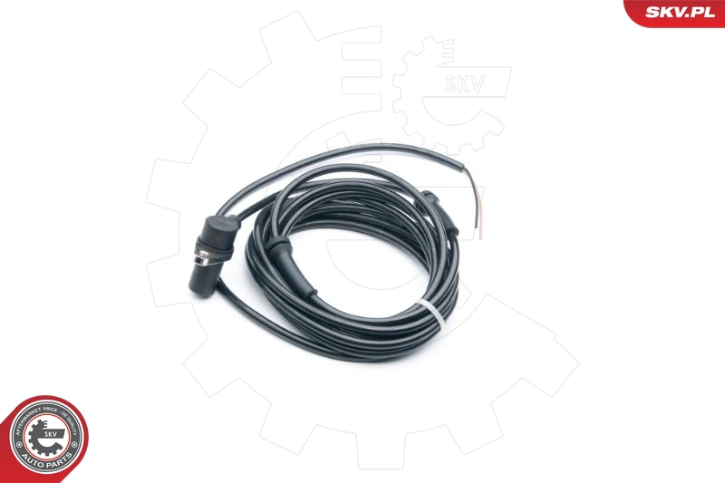 06SKV301
