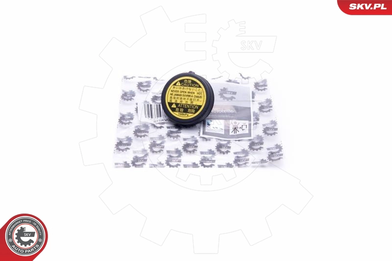 61SKV008