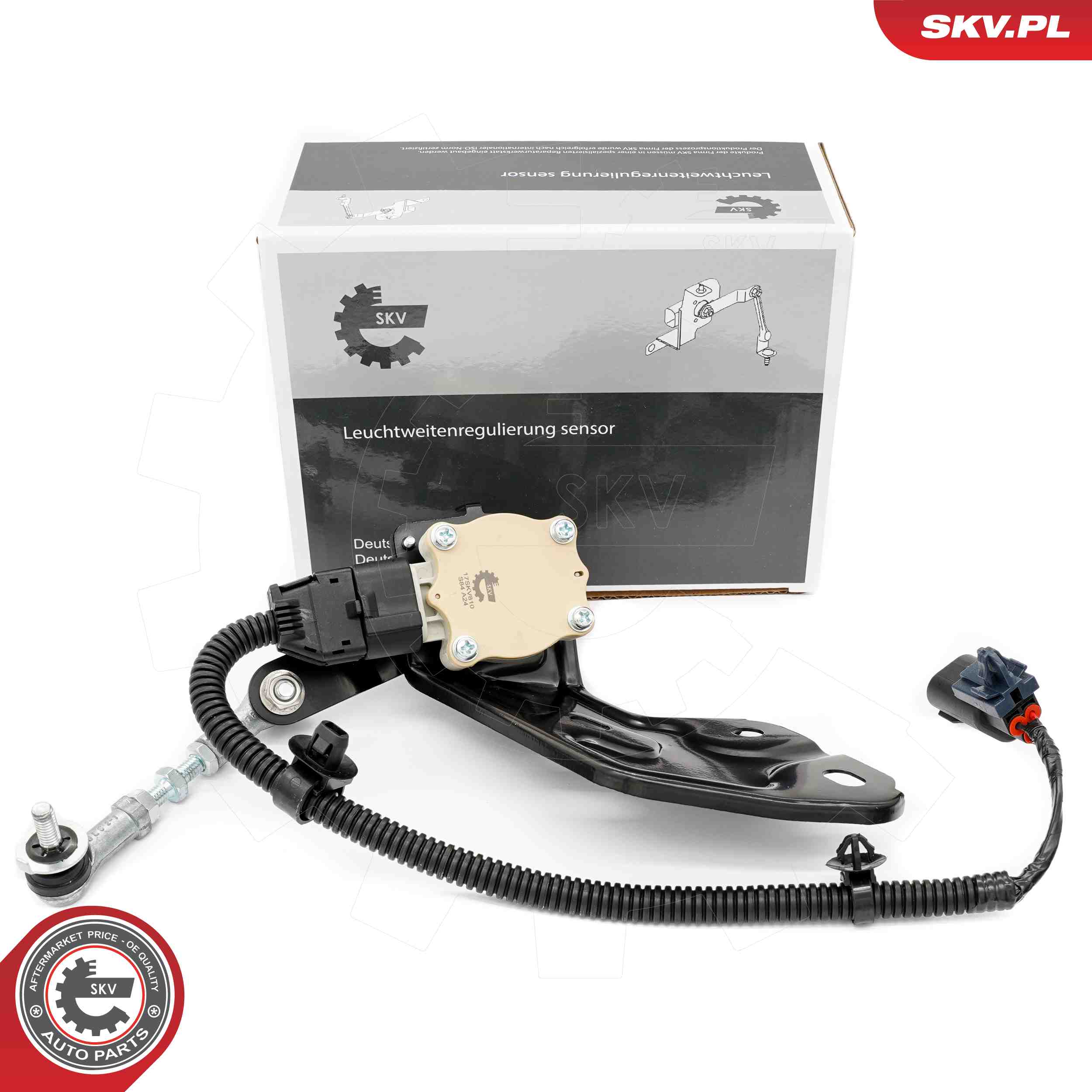 17SKV810