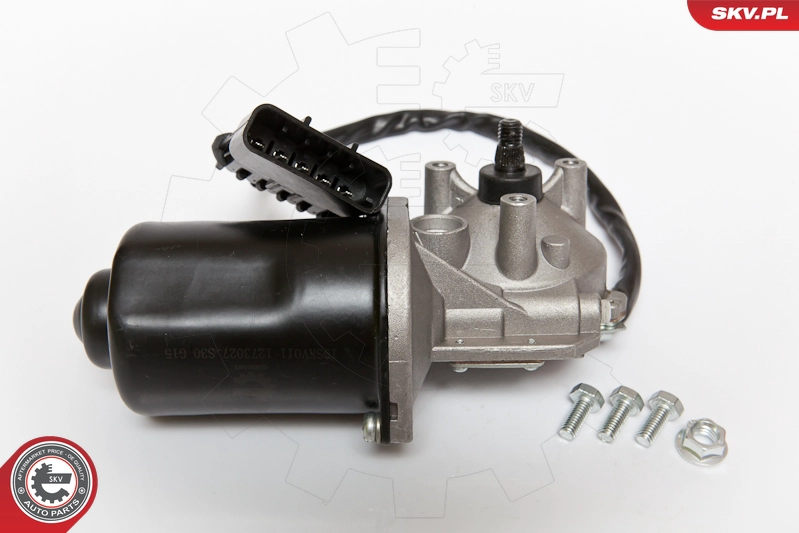 19SKV011