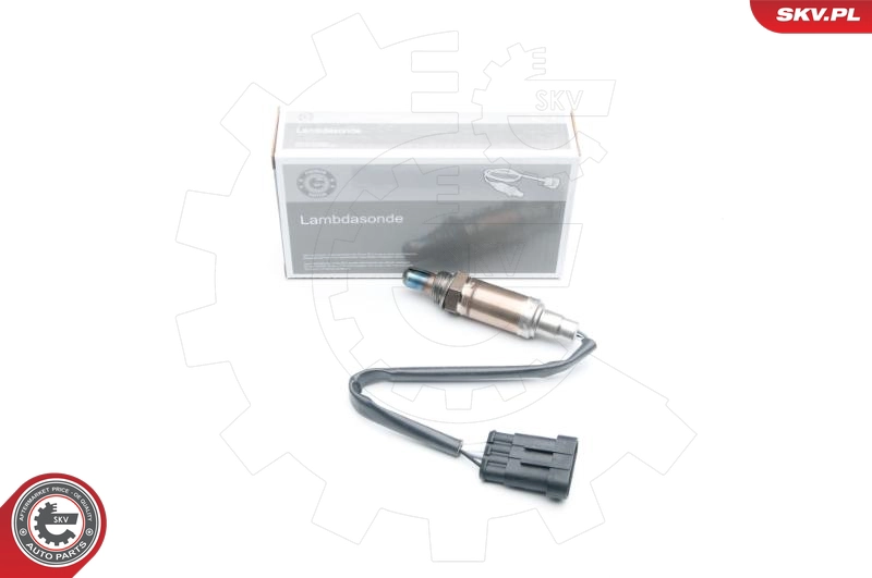 09SKV595