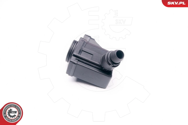 31SKV006