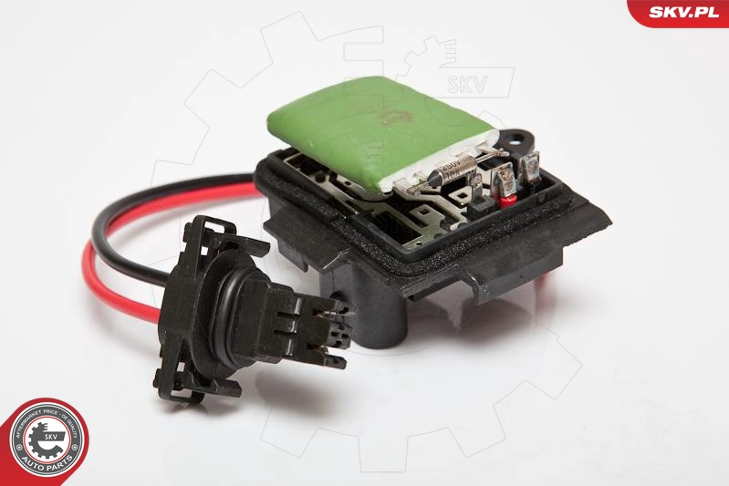 95SKV025