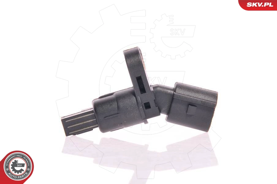 06SKV010