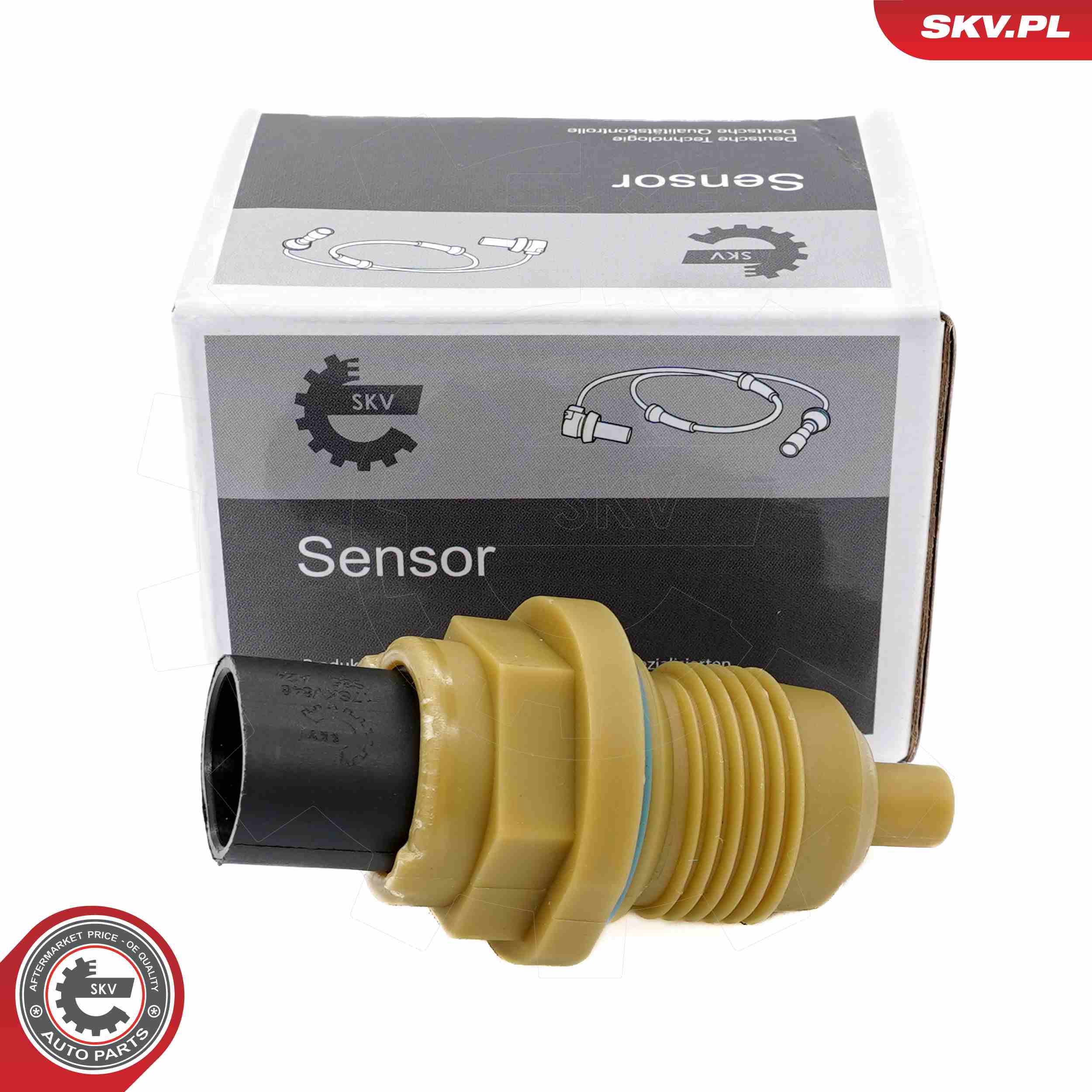 17SKV848