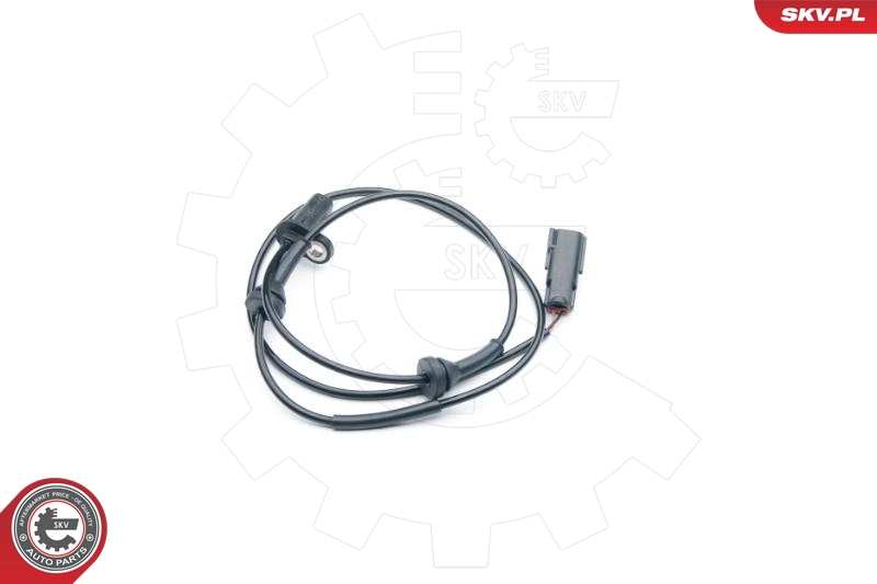 06SKV288