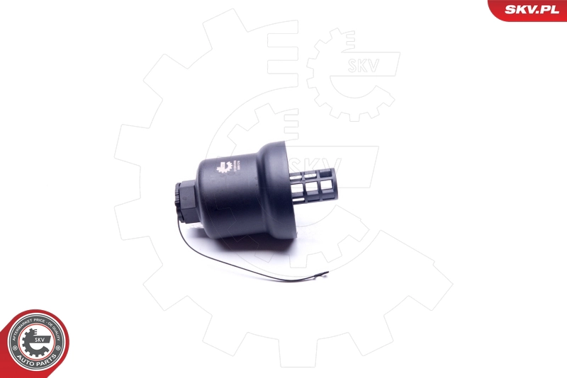 31SKV058