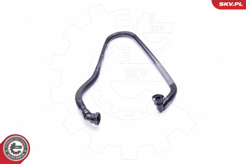 24SKV464