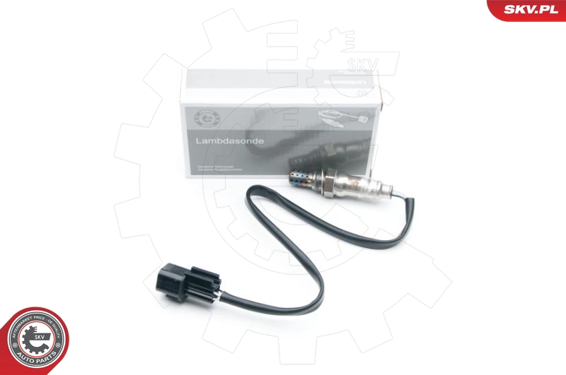09SKV688