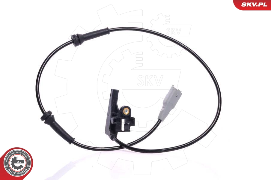06SKV099