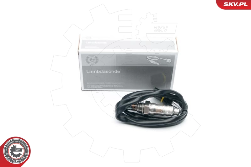 09SKV655