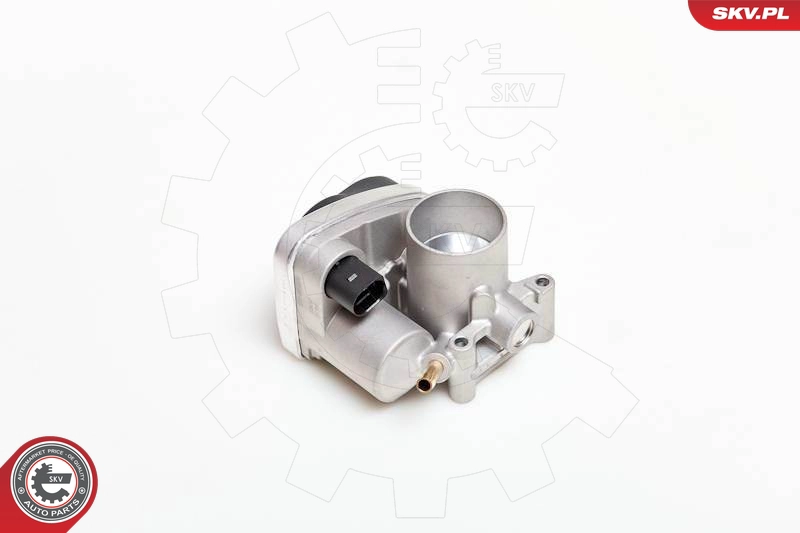 12SKV029