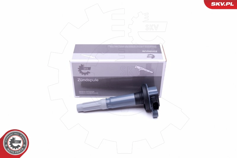 03SKV302
