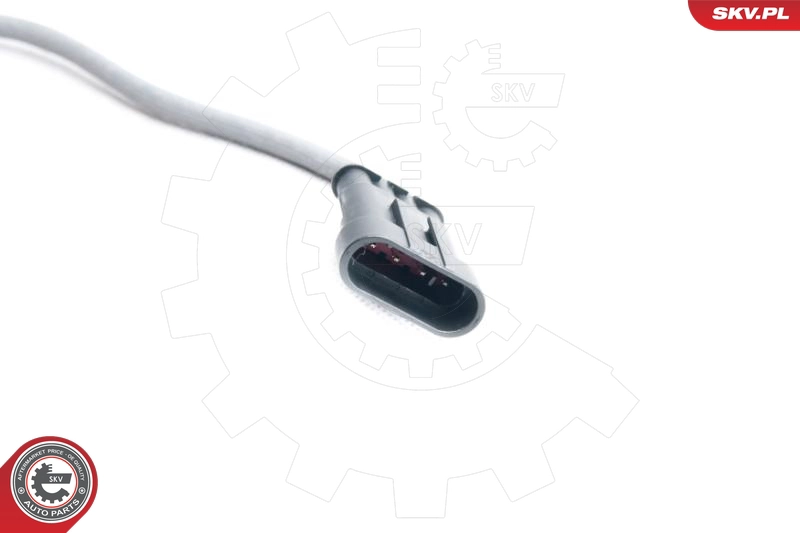 09SKV095