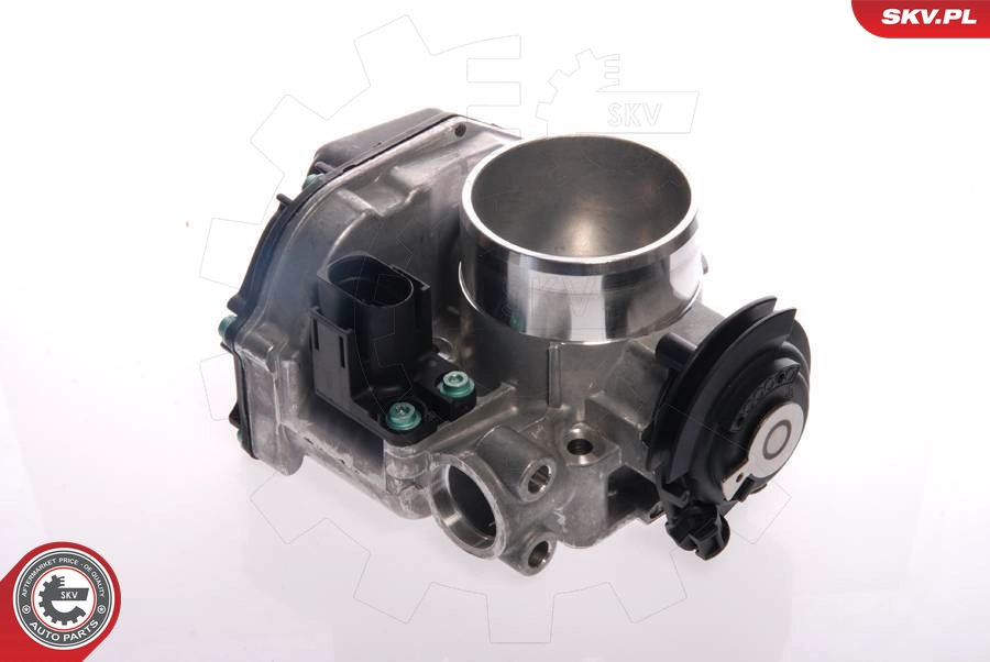 12SKV019