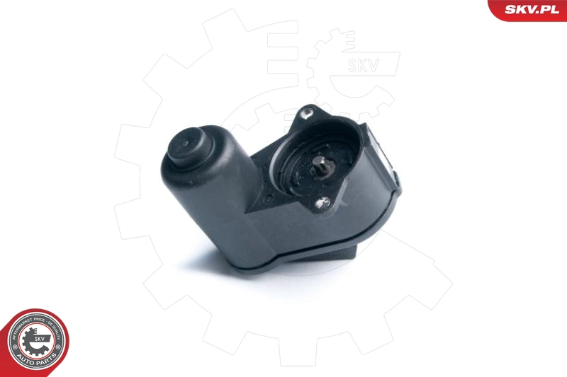 96SKV009