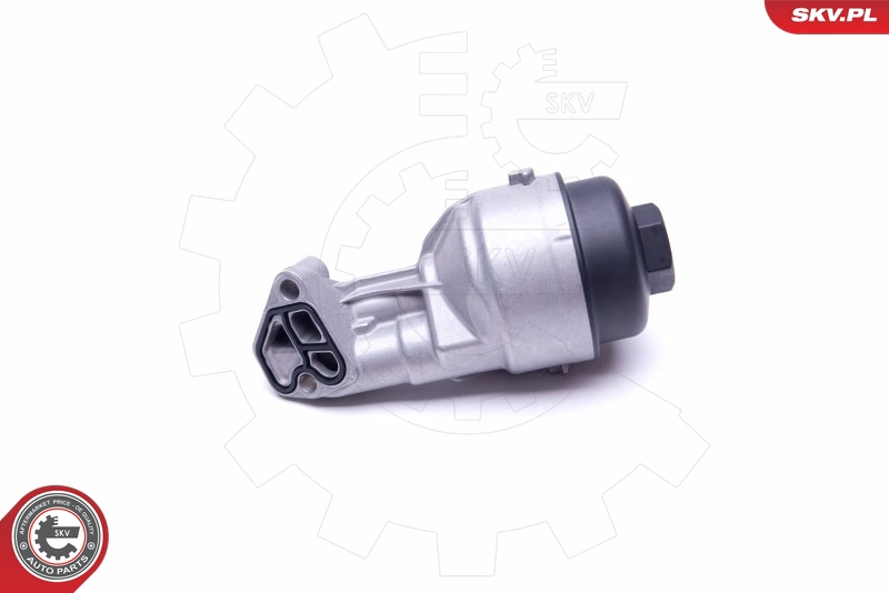 31SKV137