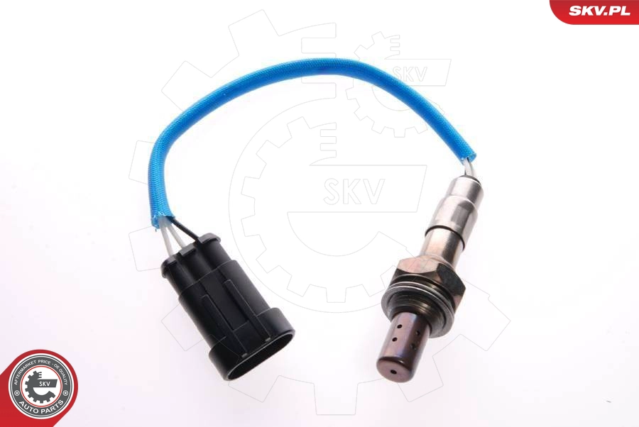 09SKV010