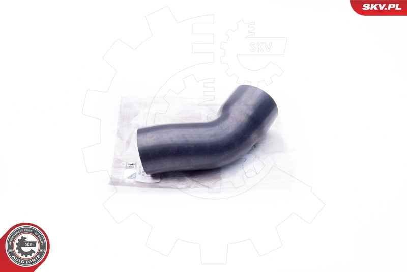 24SKV744
