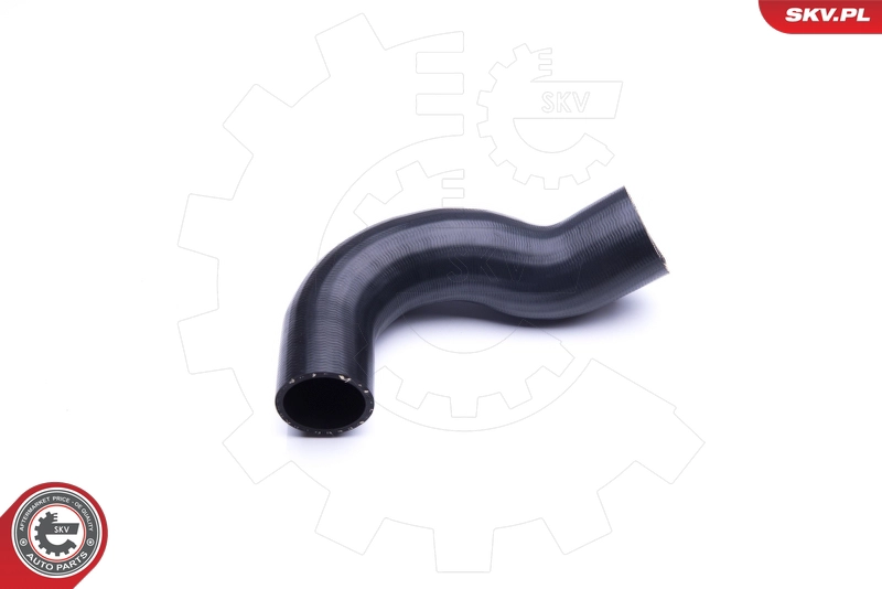 24SKV919