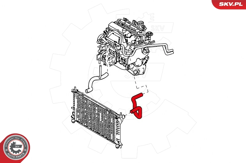 24SKV342