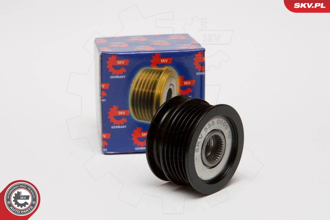 11SKV006
