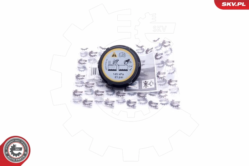 61SKV005