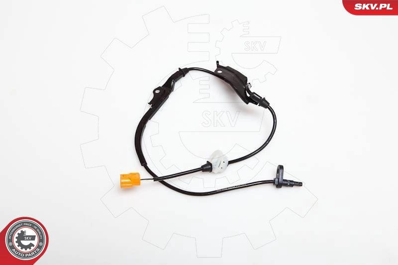 06SKV163