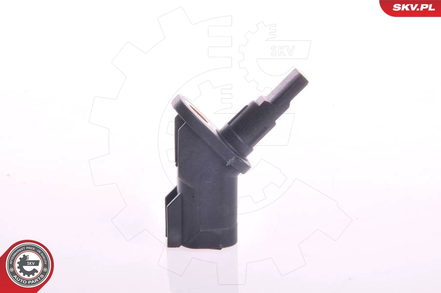 06SKV005