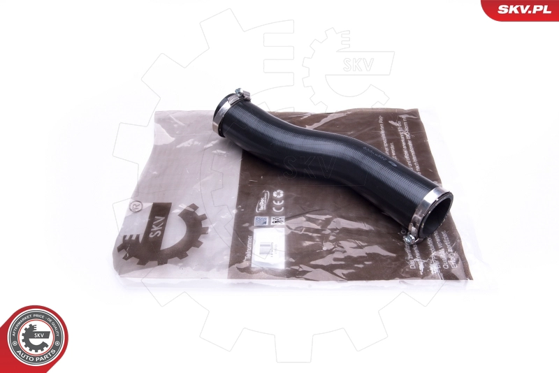 43SKV029
