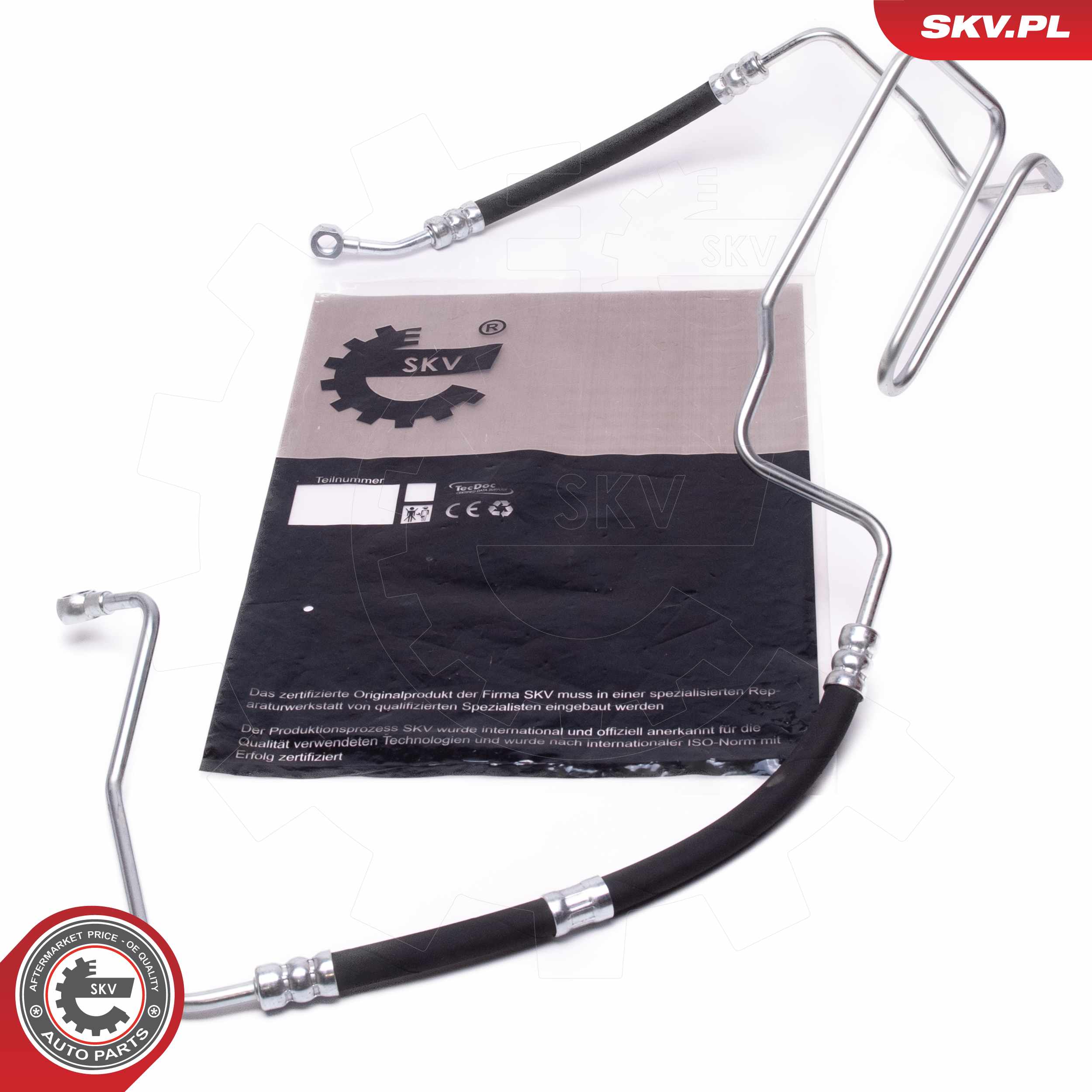 10SKV881