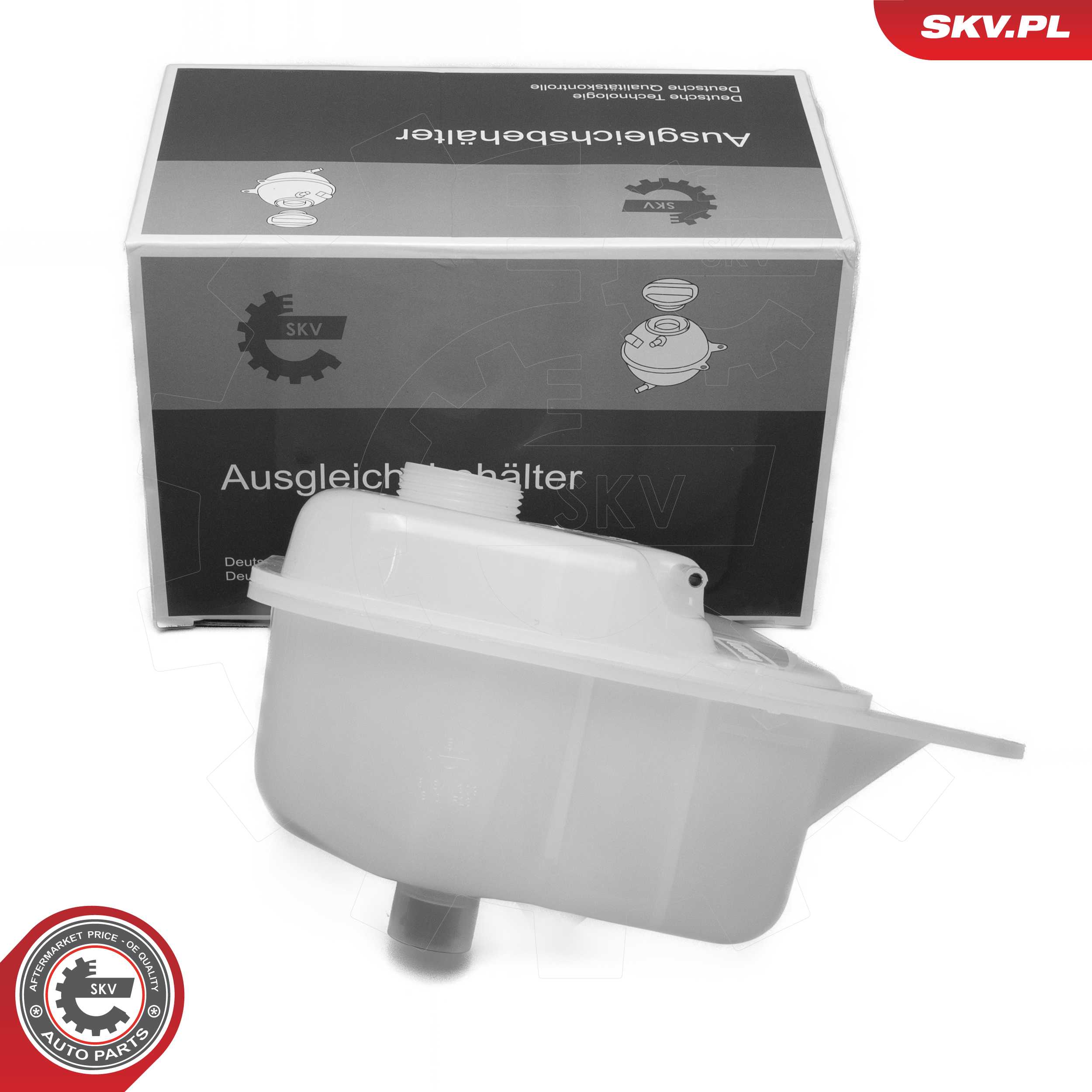 61SKV309