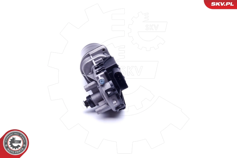 19SKV021
