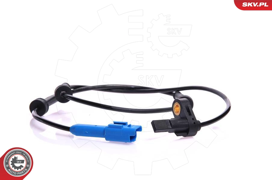 06SKV101