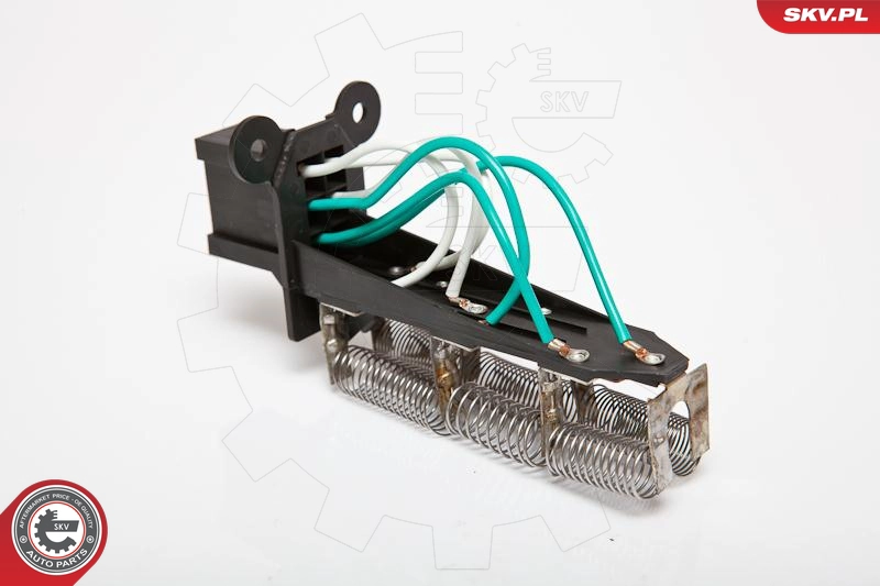 95SKV060