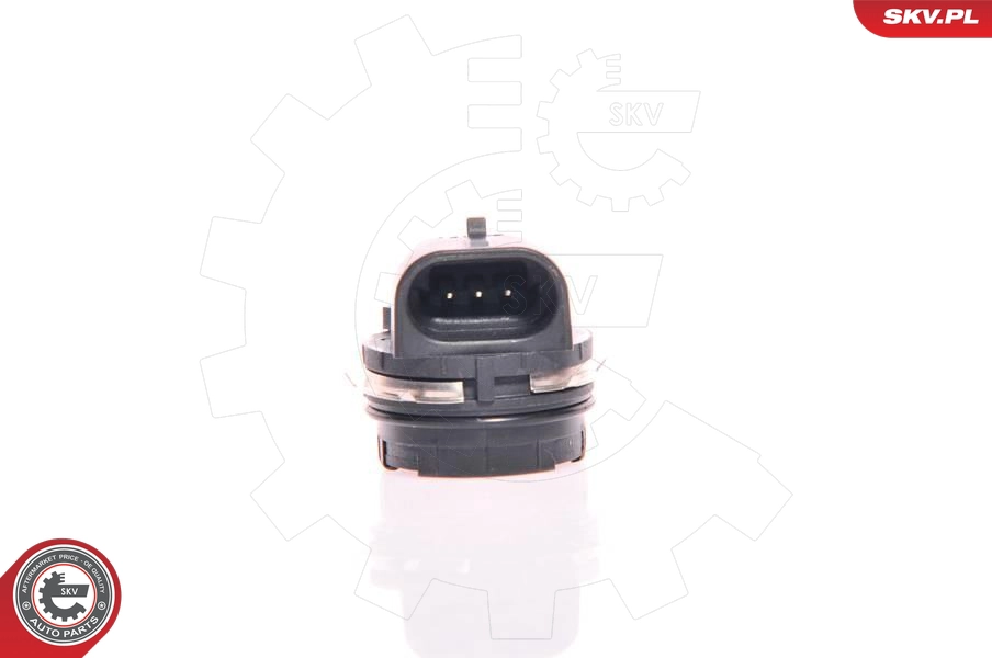 17SKV013