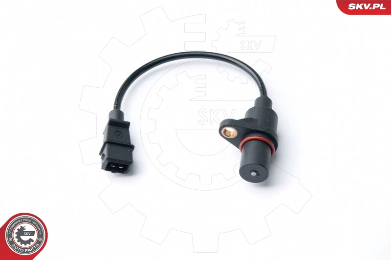17SKV303