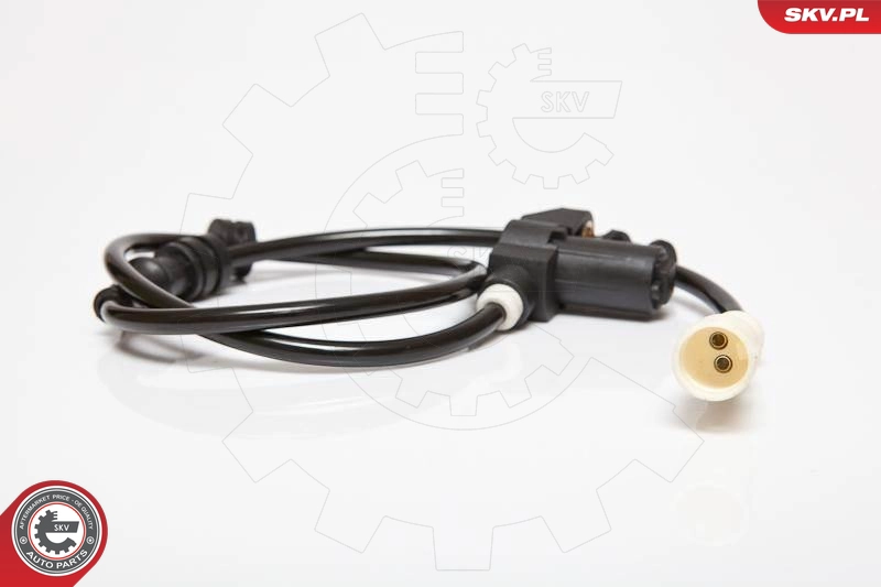 06SKV181