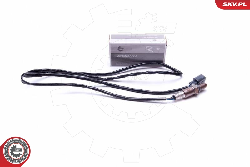 09SKV441