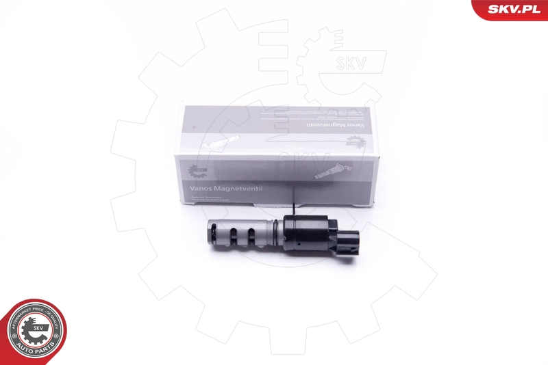 39SKV023