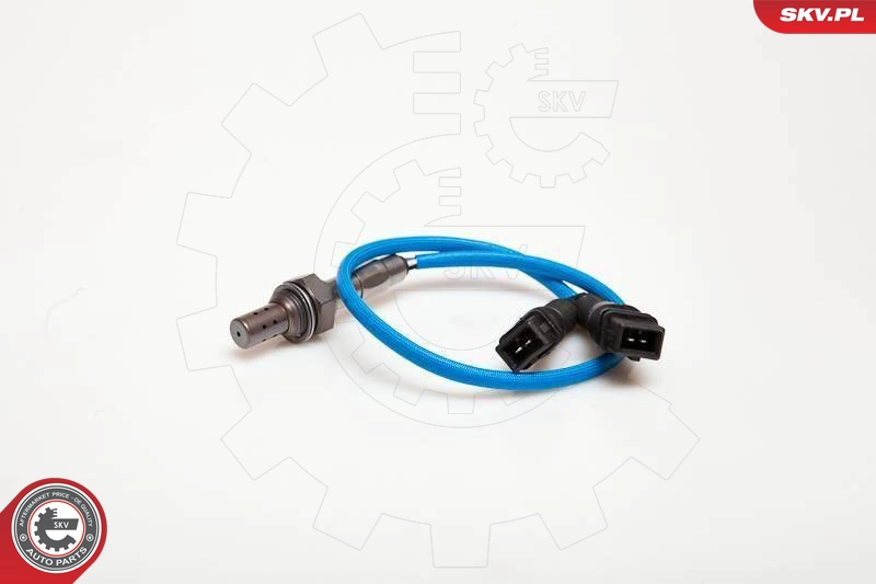 09SKV027