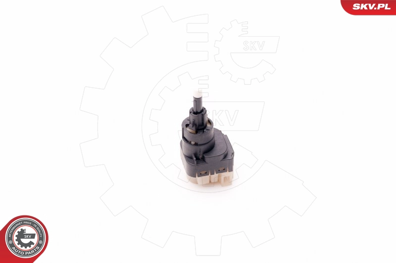 17SKV376