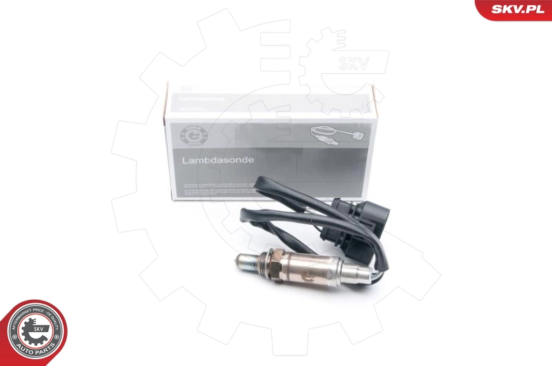 09SKV606
