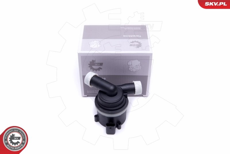 22SKV029