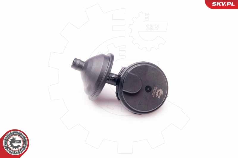 31SKV025