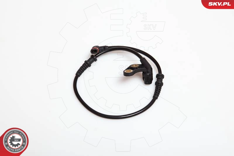 06SKV137