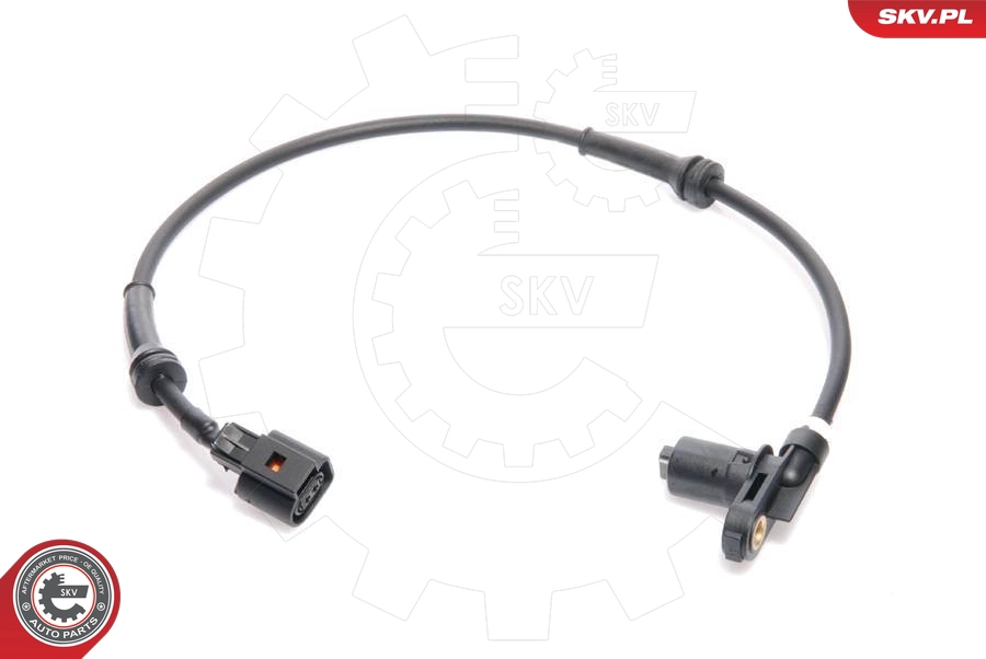 06SKV029
