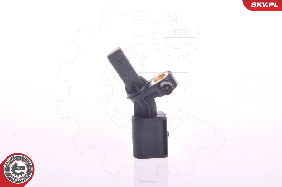 06SKV016