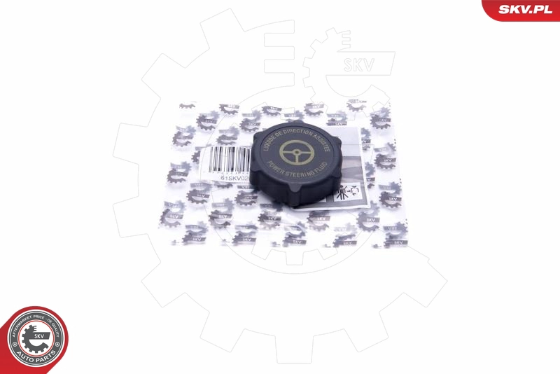 61SKV029