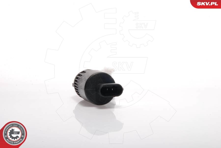 15SKV011